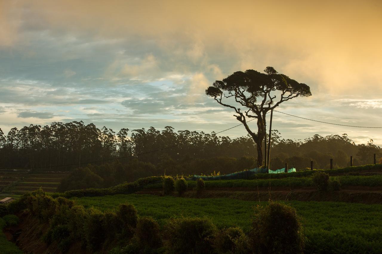 Grand Camellia Hotel Nuwara Eliya Eksteriør billede